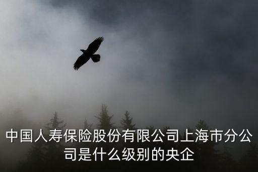 中國人壽保險股份有限公司上海市分公司是什么級別的央企