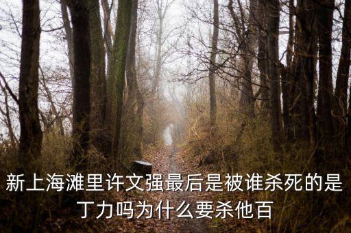 新上海，日月光的新上海怎么樣