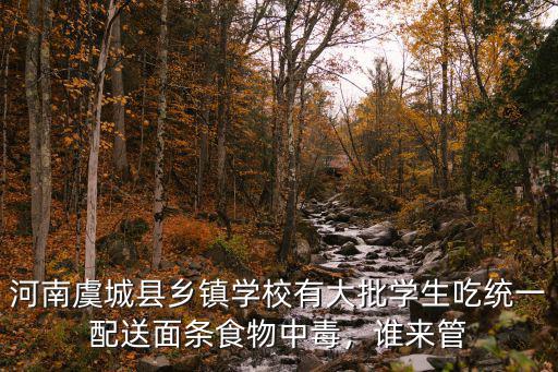 河南虞城縣鄉鎮學校有大批學生吃統一配送面條食物中毒，誰來管