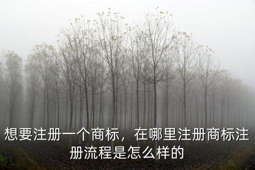 想要注冊一個商標，在哪里注冊商標注冊流程是怎么樣的