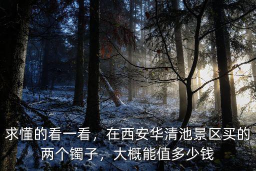 求懂的看一看，在西安華清池景區買的兩個鐲子，大概能值多少錢