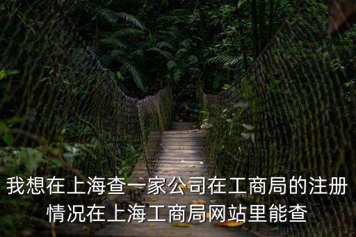 上海工商局企業查詢，我想在上海查一家公司在工商局的注冊情況在上海工商局網站里能查