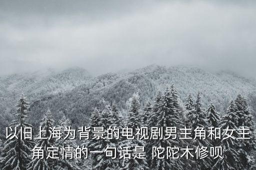 以舊上海為背景的電視劇男主角和女主角定情的一句話是 陀陀木修唄