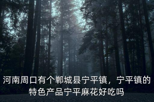 河南周口有個(gè)鄲城縣寧平鎮(zhèn)，寧平鎮(zhèn)的特色產(chǎn)品寧平麻花好吃嗎