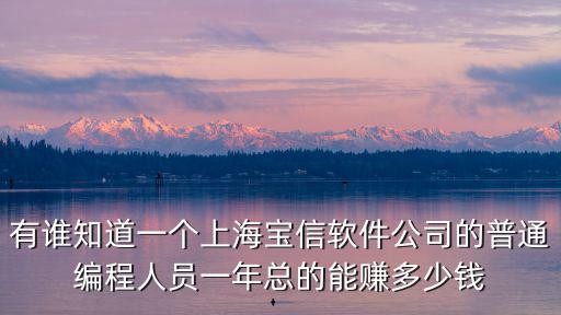 有誰知道一個(gè)上海寶信軟件公司的普通編程人員一年總的能賺多少錢