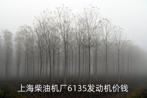 上海柴油機廠6135發動機價錢