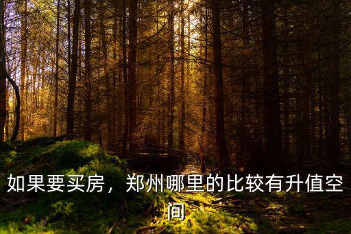 如果要買房，鄭州哪里的比較有升值空間