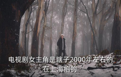 電視劇女主角是瞎子2000年左右的在上海拍的