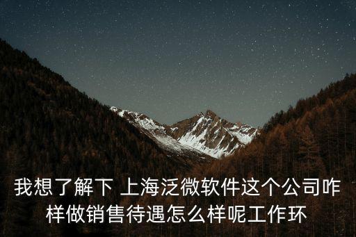 上海泛微網(wǎng)絡(luò)，上海泛微網(wǎng)絡(luò)科技股份有限公司在 北京的待遇如何實(shí)施請(qǐng)?jiān)敿?xì)