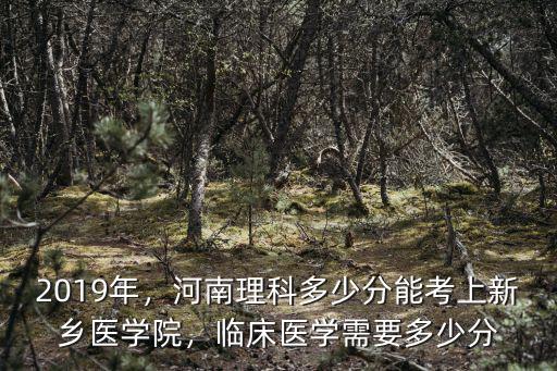 20丨9年新鄉醫學院多少分,臨床醫學需要多少分