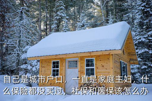 鶴壁家庭主婦怎么交社保,一直是家庭主婦