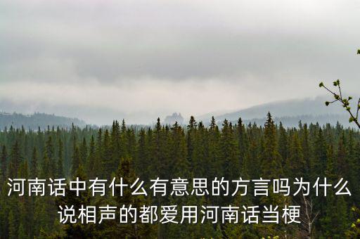 河南話中有什么有意思的方言嗎為什么說相聲的都愛用河南話當(dāng)梗