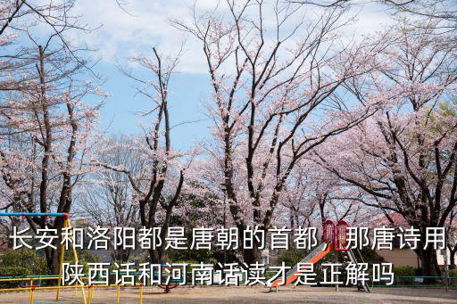 唐朝的首都洛陽是哪里,唐朝是哪一年遷都洛陽的