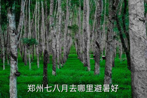 鄭州七八月份去哪里避暑,鄭州七八月去哪里避暑好