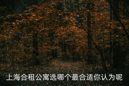 上海合租公寓選哪個最合適你認為呢