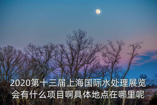 2020第十三屆上海國際水處理展覽會有什么項目啊具體地點在哪里呢
