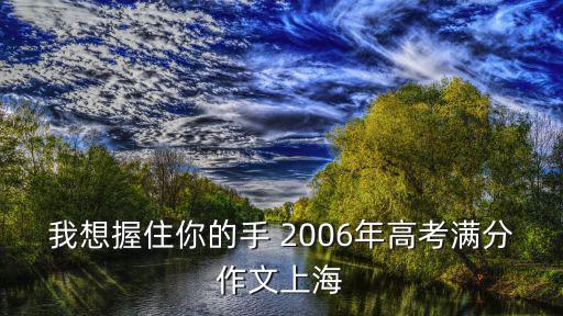 我想握住你的手 2006年高考滿分作文上海