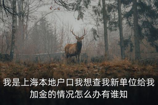 我是上海本地戶口我想查我新單位給我加金的情況怎么辦有誰知