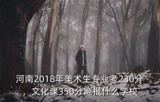 河南2018年美術(shù)生專(zhuān)業(yè)考230分，文化課350分能報(bào)什么學(xué)校