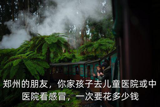 鄭州的朋友，你家孩子去兒童醫院或中醫院看感冒，一次要花多少錢