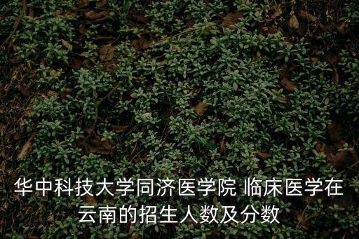 華中科技大學(xué)同濟(jì)醫(yī)學(xué)院 臨床醫(yī)學(xué)在云南的招生人數(shù)及分?jǐn)?shù)