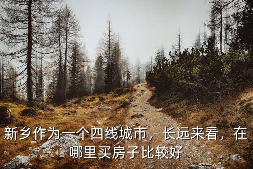 新鄉作為一個四線城市，長遠來看，在哪里買房子比較好