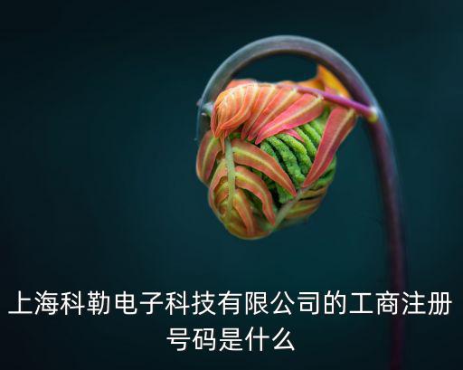 上海科勒有限公司，上海科勒電子科技有限公司的工商注冊號碼是什么