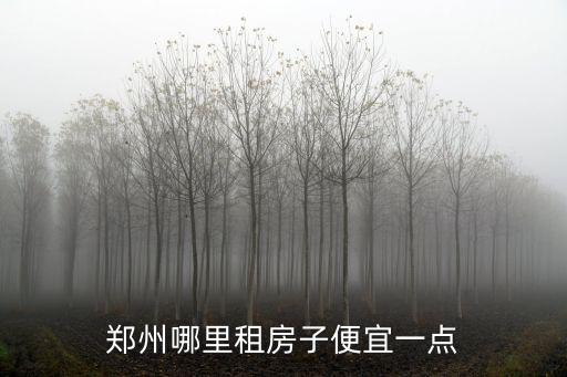 鄭州南邊租房哪里便宜,鄭州哪里租房子便宜一點