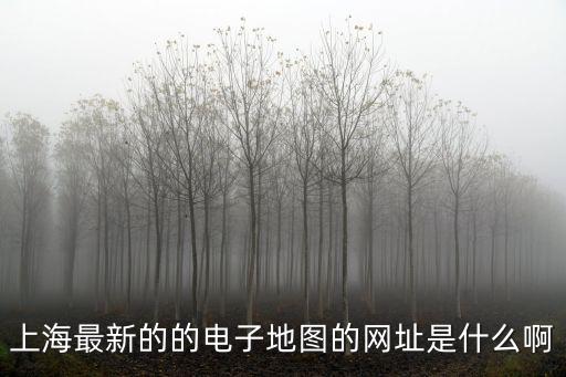 上海地圖網(wǎng)，上海最新的的電子地圖的網(wǎng)址是什么啊