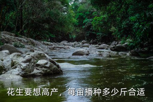 花生要想高產，每畝播種多少斤合適