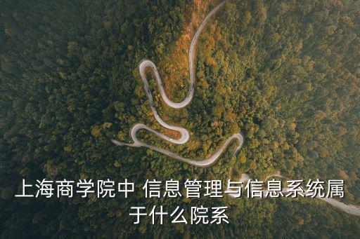 上海商學院教務系統，上海商學院中 信息管理與信息系統屬于什么院系