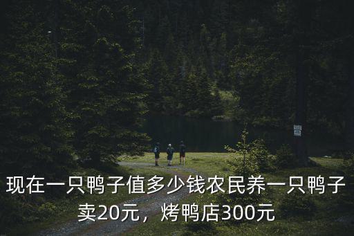 漯河市鴨多少錢一只,現在一只鴨子值多少錢