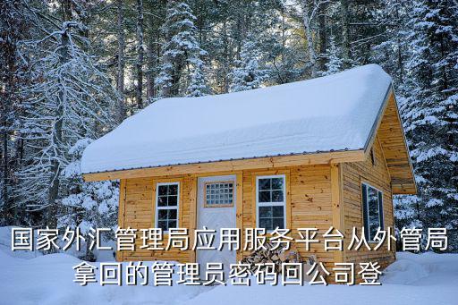 國家外匯管理局應用服務平臺從外管局拿回的管理員密碼回公司登