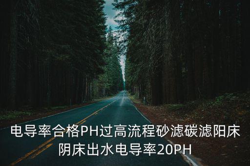 電導率合格PH過高流程砂濾碳濾陽床陰床出水電導率20PH