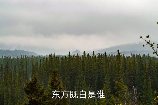 東方既白是誰
