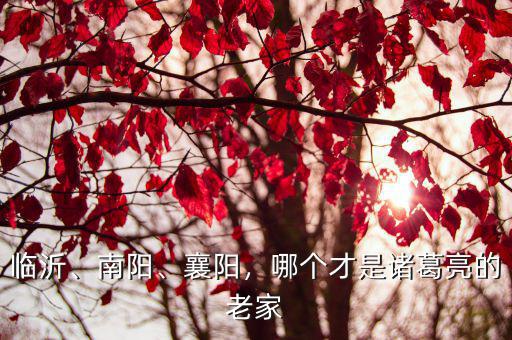 河南南陽的郎官巷在哪里,河南南陽的臥龍崗