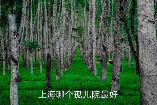 上海孤兒院，上海哪個孤兒院最好