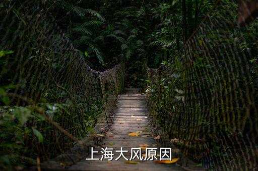 上海大風原因