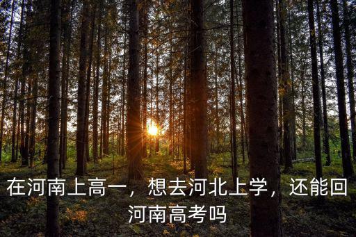 在河南上高一，想去河北上學，還能回河南高考嗎