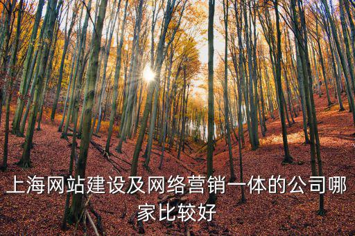 上海網站建設公司，上海網站建設及網絡營銷一體的公司哪家比較好