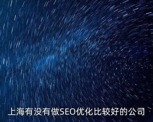 上海有沒有做SEO優(yōu)化比較好的公司