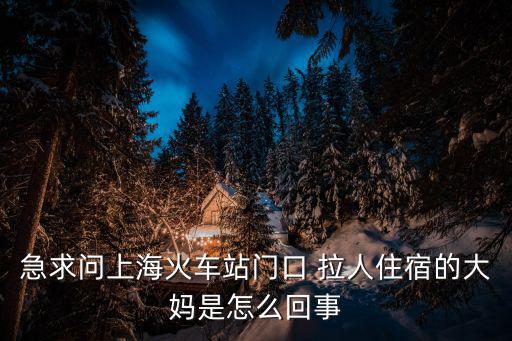 上海大媽，上海instadri指甲油正品店地址