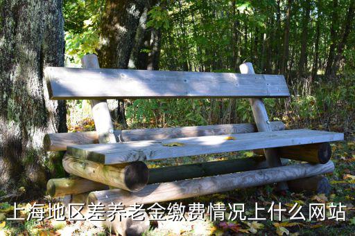上海地區差養老金繳費情況上什么網站