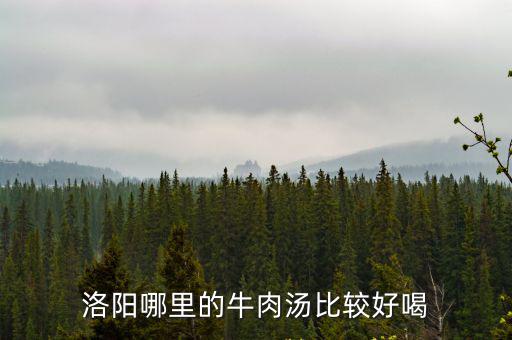 洛陽哪里的牛肉湯比較好喝