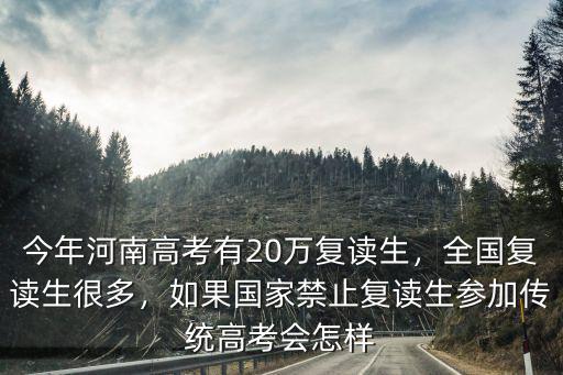 今年河南高考有20萬復(fù)讀生，全國復(fù)讀生很多，如果國家禁止復(fù)讀生參加傳統(tǒng)高考會怎樣
