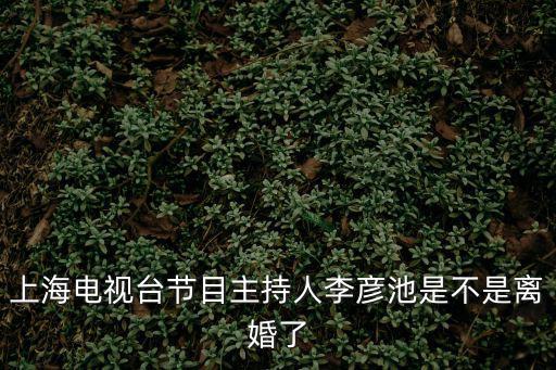 上海電視臺節目主持人李彥池是不是離婚了