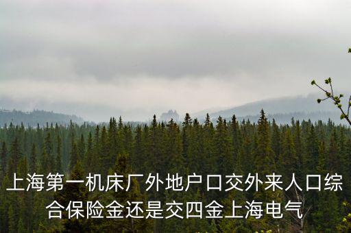 上海電氣風(fēng)電設(shè)備有限公司，上海第一機(jī)床廠外地戶口交外來人口綜合保險(xiǎn)金還是交四金上海電氣