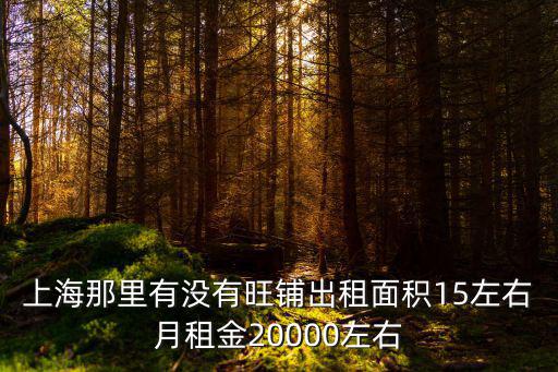 上海那里有沒有旺鋪出租面積15左右月租金20000左右
