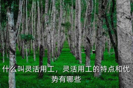 河南哪里有靈活用工服務,靈活用工的特點和優(yōu)勢有哪些