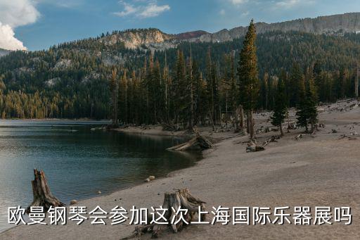 歐曼鋼琴會參加這次上海國際樂器展嗎